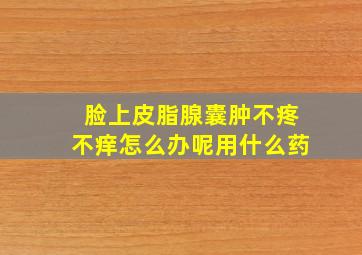 脸上皮脂腺囊肿不疼不痒怎么办呢用什么药