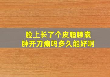 脸上长了个皮脂腺囊肿开刀痛吗多久能好啊