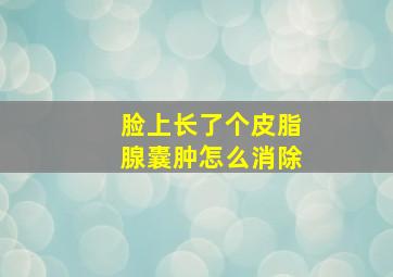 脸上长了个皮脂腺囊肿怎么消除