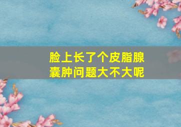 脸上长了个皮脂腺囊肿问题大不大呢