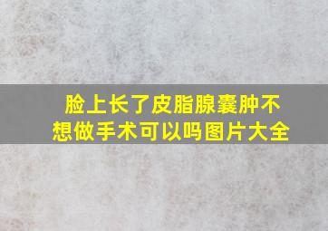 脸上长了皮脂腺囊肿不想做手术可以吗图片大全