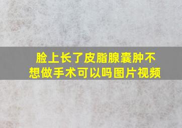 脸上长了皮脂腺囊肿不想做手术可以吗图片视频