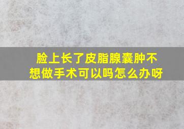 脸上长了皮脂腺囊肿不想做手术可以吗怎么办呀