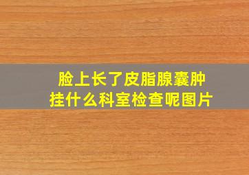 脸上长了皮脂腺囊肿挂什么科室检查呢图片