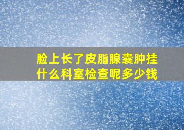 脸上长了皮脂腺囊肿挂什么科室检查呢多少钱