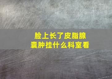 脸上长了皮脂腺囊肿挂什么科室看