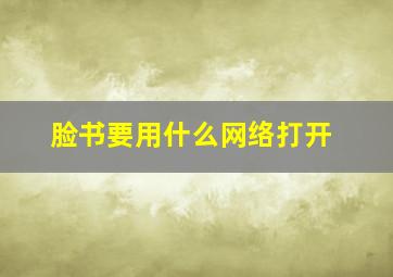 脸书要用什么网络打开