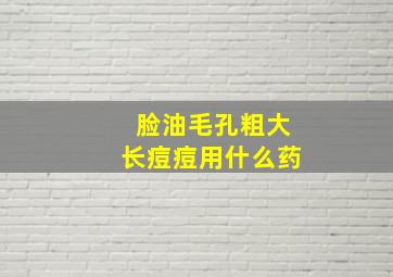 脸油毛孔粗大长痘痘用什么药