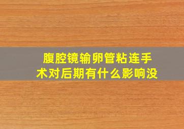 腹腔镜输卵管粘连手术对后期有什么影响没