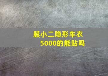 膜小二隐形车衣5000的能贴吗