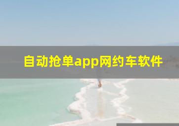 自动抢单app网约车软件