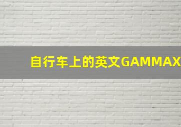 自行车上的英文GAMMAX