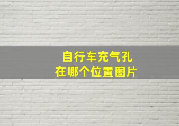 自行车充气孔在哪个位置图片