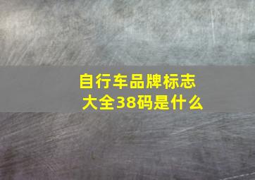 自行车品牌标志大全38码是什么