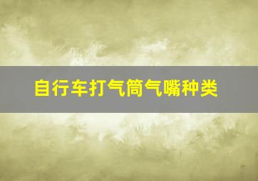 自行车打气筒气嘴种类