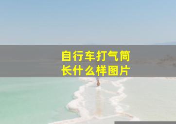 自行车打气筒长什么样图片