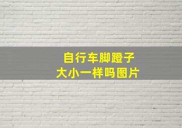 自行车脚蹬子大小一样吗图片