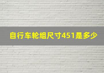 自行车轮组尺寸451是多少