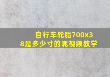 自行车轮胎700x38是多少寸的呢视频教学