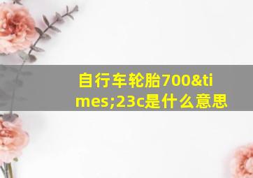 自行车轮胎700×23c是什么意思