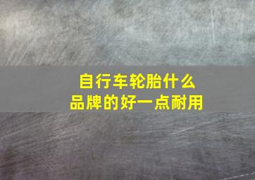 自行车轮胎什么品牌的好一点耐用