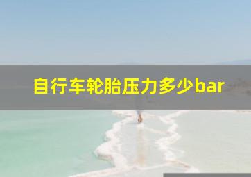 自行车轮胎压力多少bar