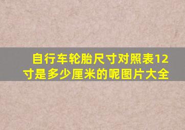 自行车轮胎尺寸对照表12寸是多少厘米的呢图片大全