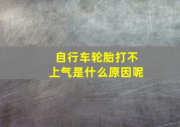 自行车轮胎打不上气是什么原因呢