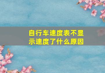 自行车速度表不显示速度了什么原因