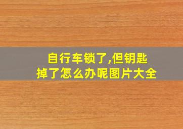 自行车锁了,但钥匙掉了怎么办呢图片大全