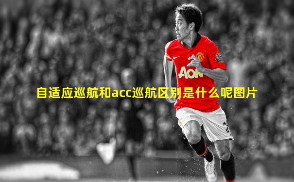 自适应巡航和acc巡航区别是什么呢图片