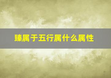 臻属于五行属什么属性