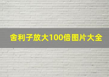 舍利子放大100倍图片大全