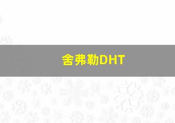 舍弗勒DHT