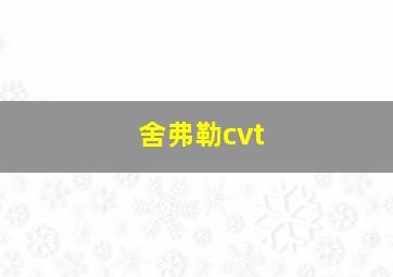 舍弗勒cvt