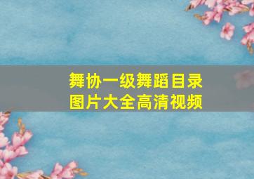 舞协一级舞蹈目录图片大全高清视频