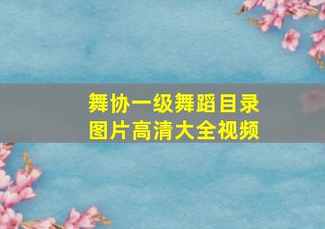 舞协一级舞蹈目录图片高清大全视频