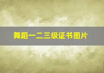 舞蹈一二三级证书图片