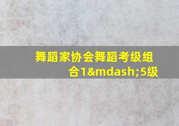 舞蹈家协会舞蹈考级组合1—5级