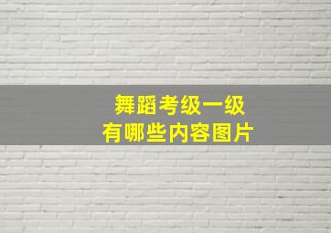 舞蹈考级一级有哪些内容图片