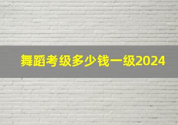 舞蹈考级多少钱一级2024