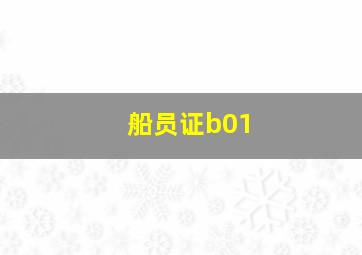 船员证b01