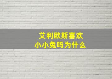 艾利欧斯喜欢小小兔吗为什么