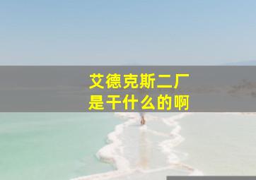 艾德克斯二厂是干什么的啊