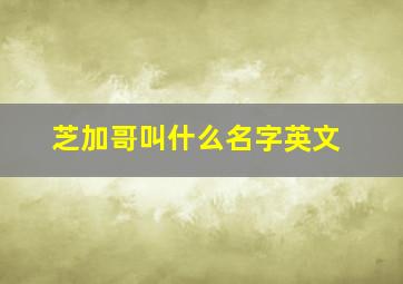 芝加哥叫什么名字英文