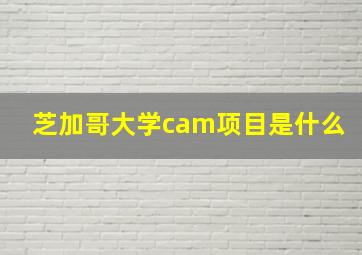 芝加哥大学cam项目是什么