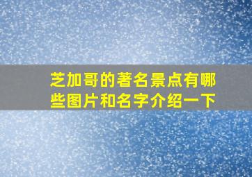 芝加哥的著名景点有哪些图片和名字介绍一下