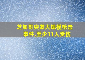 芝加哥突发大规模枪击事件,至少11人受伤