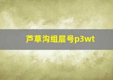 芦草沟组层号p3wt