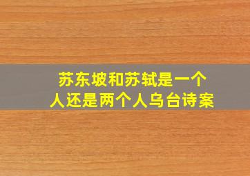 苏东坡和苏轼是一个人还是两个人乌台诗案